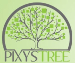 logo-pixystree-formation-informatique-bruxelles