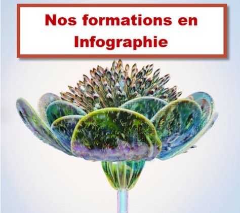 Illustration numérique d'une fleur stylisée, représentant la créativité et la maîtrise des outils d’infographie enseignés à Bruxelles.