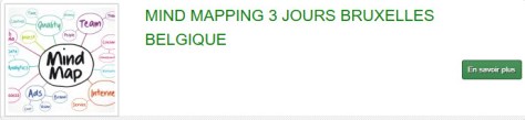 Formation en Mind Mapping à Bruxelles : développez votre créativité et améliorez votre gestion de projet en 3 jours.